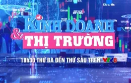 Chương trình Kinh doanh & Thị trường trên VTV8