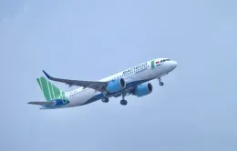 Sắp gỡ bỏ lệnh cấm xuất cảnh Tổng giám đốc Bamboo Airways