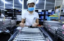 Giải ngân vốn FDI cao nhất 5 năm