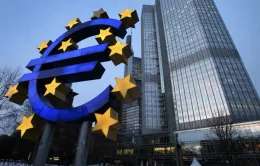 Thị trường chờ đợi gì từ quyết định hạ lãi suất của ECB?