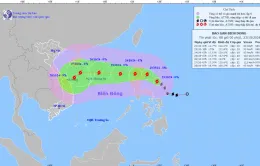 Bão Trami giật cấp 11, di chuyển hướng vào Biển Đông