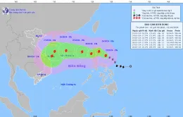Chiều mai (24/10), bão Trami vào Biển Đông, có thể mạnh thêm