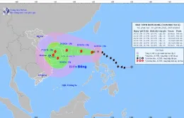 Bão Trami có cường độ mạnh, hướng vào khu vực biển ngoài khơi Trung Bộ