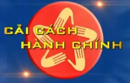 Kiện toàn thành viên Ban Chỉ đạo cải cách hành chính của Chính phủ