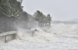 Bão số 6 di chuyển theo hướng Tây Tây Nam, cách Đà Nẵng khoảng 510km