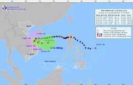 Bão số 6 giật cấp 12 trên vùng biển Quảng Trị đến Quảng Nam