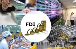 Các địa phương đẩy mạnh thu hút vốn FDI