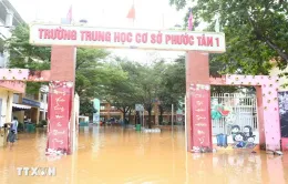 Đồng Nai: Vệ sinh trường lớp, đón học sinh trở lại khi nước lũ rút