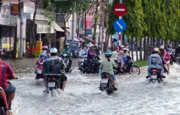 Đồng bằng sông Cửu Long cảnh báo triều cường cao gây ngập úng