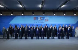 Việt Nam sẽ nghiên cứu các thông tin về quy chế của BRICS