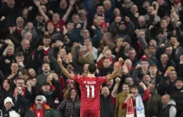 Liverpool thắng Brighton nhưng khủng hoảng chấn thương khiến fan lo lắng!