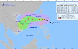 Sáng 8/11, bão Yinxing sẽ vào Biển Đông với cường độ cấp 14, giật cấp 16