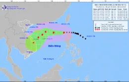 Bão số 7 mạnh cấp 14, giật cấp 17, biển động dữ dội
