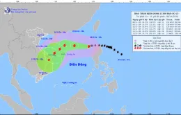 Bão số 7 giật cấp 17 di chuyển theo hướng Tây Tây Nam