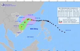 Bão số 7 gây biển động dữ dội, sóng cao 7-9m ở khu vực Bắc Biển Đông
