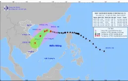 Bảo đảm thông tin liên lạc thông suốt phục vụ công tác điều hành, ứng phó bão Yinxing