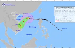 Bão số 7 giật trên cấp 17, di chuyển theo hướng Tây Tây Bắc