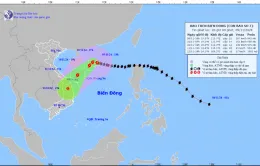 Bão số 7 mạnh cấp 14, cách quần đảo Hoàng Sa khoảng 365 km