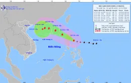 Đêm 11/11, bão Toraji sẽ đi vào Biển Đông, bão số 7 tiếp tục suy yếu dần