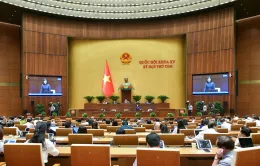 Cần xử lý nghiêm vi phạm về thực phẩm chức năng "dởm", quảng cáo sai sự thật