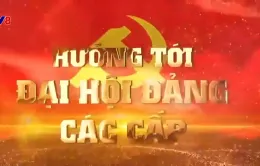 Hướng tới Đại hội Đảng các cấp (10-11-2024)