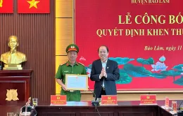 Lâm Đồng: Khen thưởng đột xuất lực lượng phá án vụ khai thác gỗ quý trái phép
