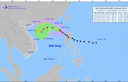 Bão số 8 giật cấp 12 trên khu vực Bắc Biển Đông