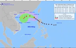 Bão số 8 di chuyển theo hướng Tây Bắc, cường độ suy yếu dần