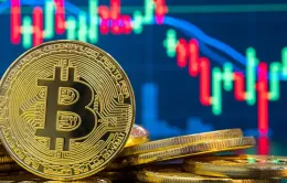 Bitcoin có thể cán mốc 100.000 USD trong năm nay