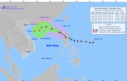 Bão số 8 giật cấp 12 tiến vào Biển Đông