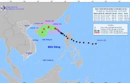 Bão số 8 mạnh cấp 9, giật cấp 11, di chuyển theo hướng Tây Tây Bắc