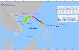 Bão số 8 gây gió mạnh, sóng lớn trên vùng biển Bắc Biển Đông