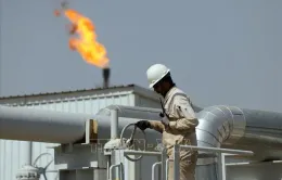 OPEC hạ dự báo nhu cầu dầu thế giới