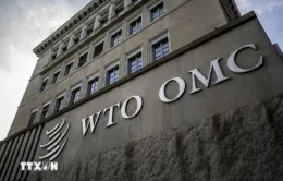 WTO có thể đẩy nhanh quy trình tái bổ nhiệm Tổng Giám đốc