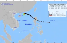 Bão số 8 suy yếu thành áp thấp nhiệt đới trên biển