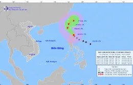 Bão Usagi giật cấp 16, áp sát Biển Đông