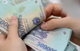 30.000 tỷ đồng cho vay ưu đãi lúa giảm phát thải