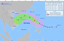 Siêu bão Man-yi khiến biển động dữ dội, bão Usagi suy yếu thành áp thấp nhiệt đới