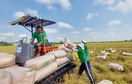 "Bơm vốn" cho vựa nông sản Đồng bằng sông Cửu Long