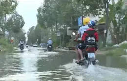 Triều cường dâng cao nhất trong 44 năm qua ở Bạc Liêu