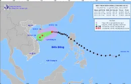 Bão số 9 tiếp tục suy yếu, cách quần đảo Hoàng Sa khoảng 300 km