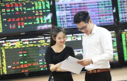 VN-Index lùi sâu về gần mốc 1.200 điểm