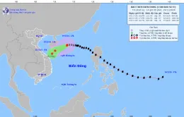 Bão số 9 giật cấp 11, sóng biển cao 2-4m, biển động rất mạnh