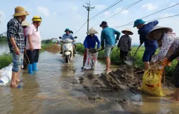 Hà Nội: Công bố tình huống khẩn cấp sạt lở đê tại Chương Mỹ