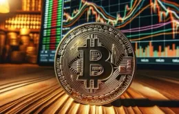 Bitcoin lần đầu tiên phá vỡ kỷ lục 99.000 USD