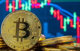 Đồng Bitcoin đã tăng giá khoảng 130% trong năm nay