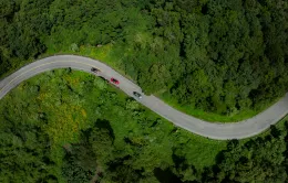 Sense Vietnam by Lexus - Khơi dậy những giá trị độc bản