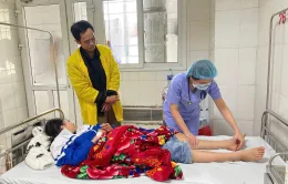 Truyền huyết thanh kháng độc cứu bệnh nhân bị rắn độc cắn