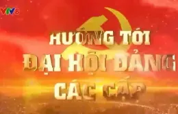 Hướng tới Đại hội Đảng các cấp (01/12/2024)