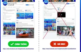 Cảnh giác với website giả mạo chương trình “Mang Tết về nhà”